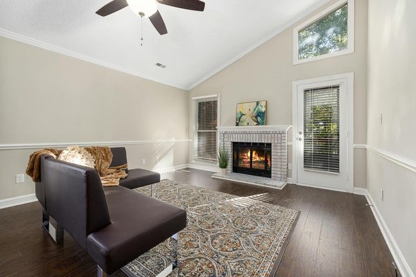 Ultimate Tips for Thriving Indoor Seed Starting in the UK: A Gardener's Essential Handbook