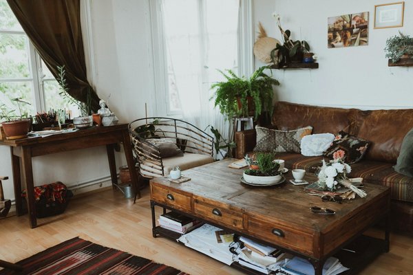 Essential plants for all-season radiance in your uk garden