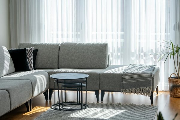 Unlocking the secrets to a lush living wall in your cozy london flat